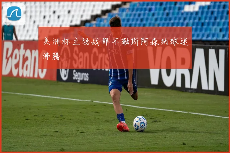 美洲杯主场战那不勒斯阿森纳球迷沸腾