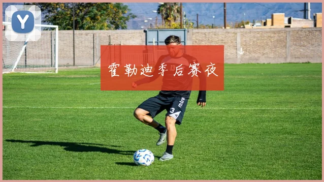 霍勒迪季后赛夜