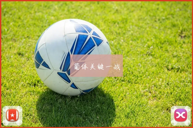 葡体关键一战