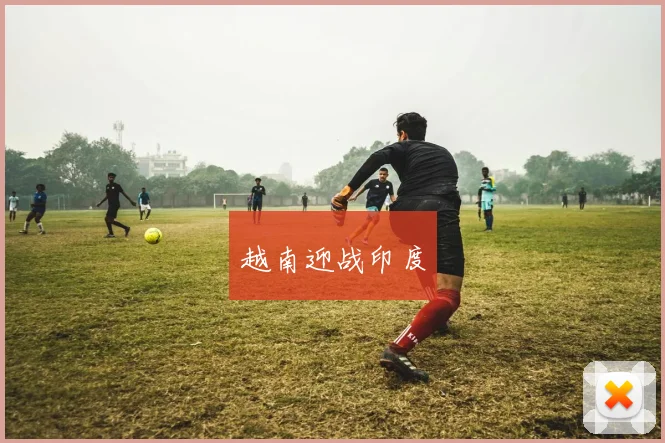 越南迎战印度