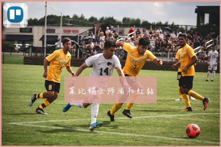 莱比锡会师浦和红钻