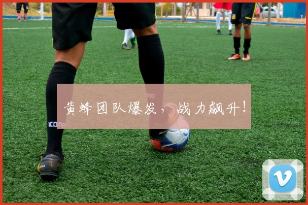 黄蜂团队爆发，战力飙升！