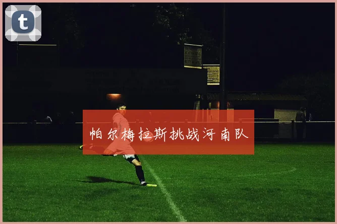 帕尔梅拉斯挑战河南队