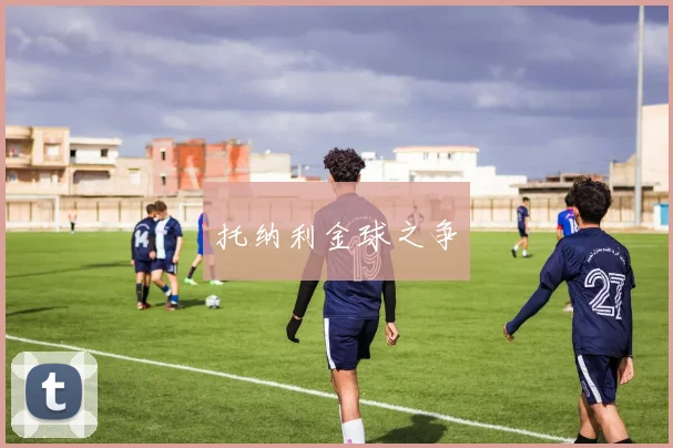 托纳利金球之争