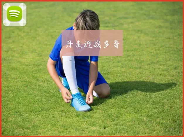 丹麦迎战多哥