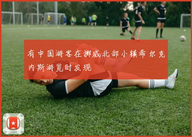 有中国游客在挪威北部小镇希尔克内斯游览时发现