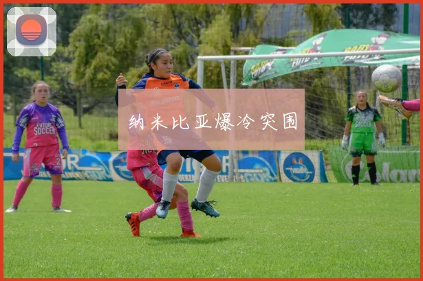 纳米比亚爆冷突围
