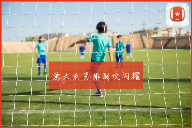 意大利男排副攻闪耀