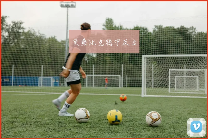 莫桑比克稳守反击
