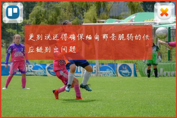 更别说还得确保缅甸那条脆弱的供应链别出问题