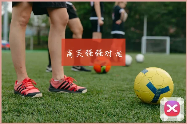 高芙强强对话