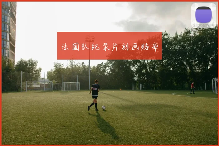 法国队纪录片刻画赔率