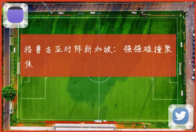 格鲁吉亚对阵新加坡：强强碰撞聚焦