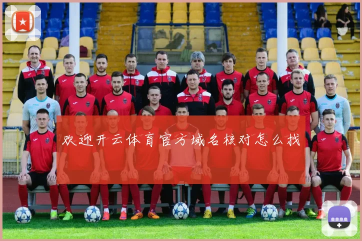 欢迎开云体育官方域名核对怎么找